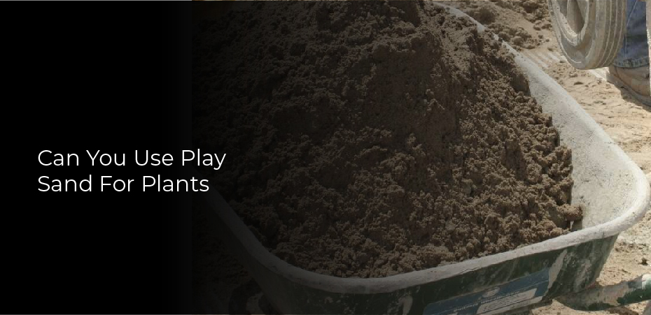 Can You Use Play Sand For Plants