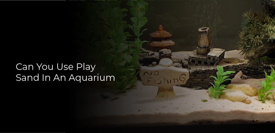 Can You Use Play Sand in an Aquarium