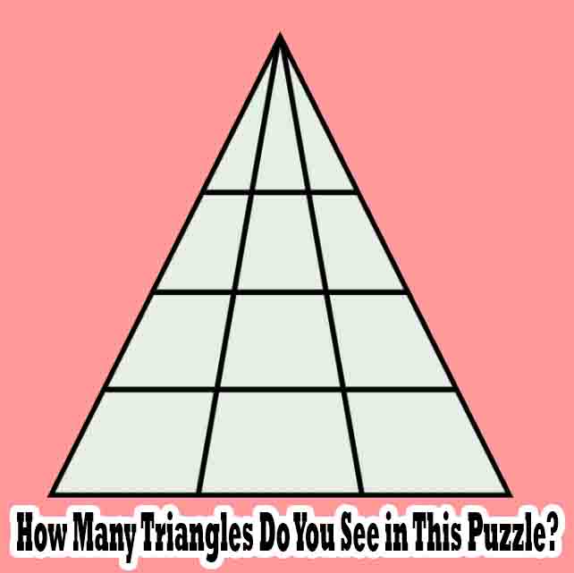 How Many Triangles Do You See in This Puzzle