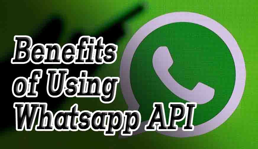 Benefits of Using Whatsapp API